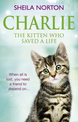 SHejla Norton - Charlie The Kitten Who Saved A Life