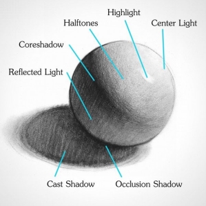 Shading is also dependent on the lighting used Usually upon rendering a scene - photo 4