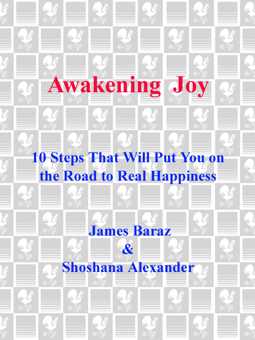 Praise for Awakening Joy In our pursuit of happiness this moving book should - photo 1