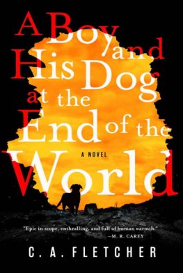 C Fletcher - A Boy and His Dog at the End of the World