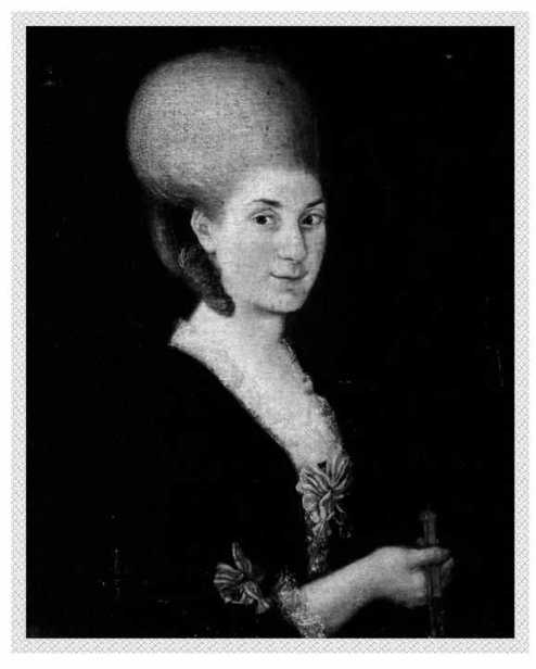 NANNERL MOZART AGE 34 1785 A N O V E L NANCY MOSER - photo 3