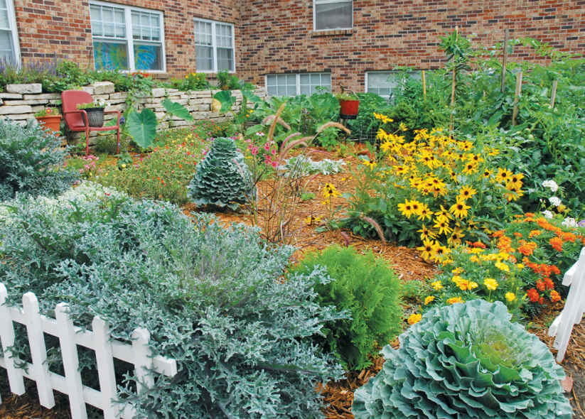 The desire to grow more of our own food has spurred many gardeners to rip out - photo 3