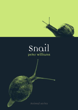 Peter Williams - Snail