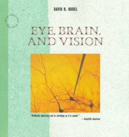 David H. Hubel - Eye, Brain, and Vision