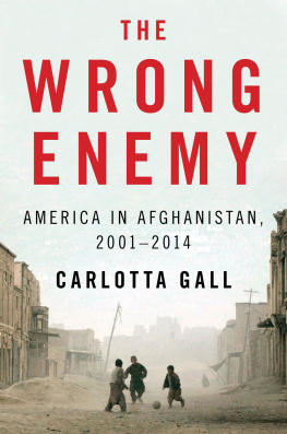 Carlotta Gall - The Wrong Enemy: America in Afghanistan, 2001-2014