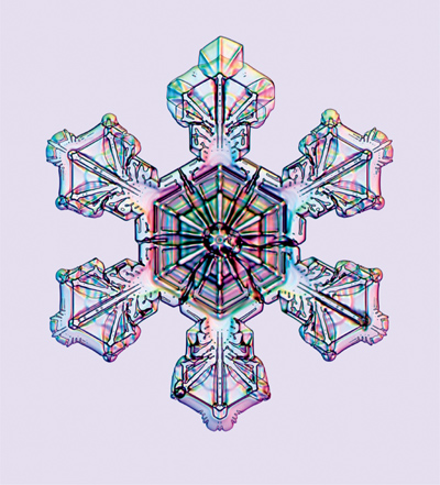 The Art of the Snowflake A Photographic Album - photo 1