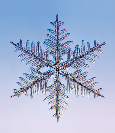 The Art of the Snowflake A Photographic Album - photo 2