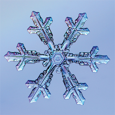 The Art of the Snowflake A Photographic Album - photo 3