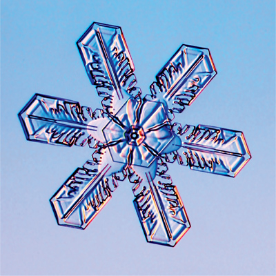 THE Art OF THE SNOW FLAKE - photo 4