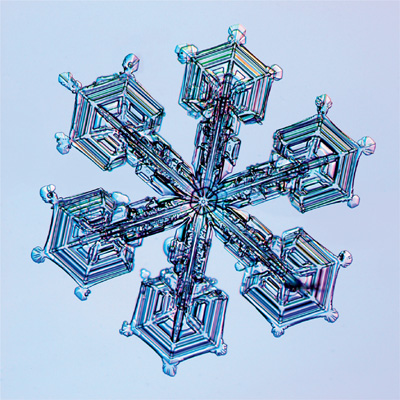 THE Art OF THE SNOW FLAKE A Photographic Album - photo 5