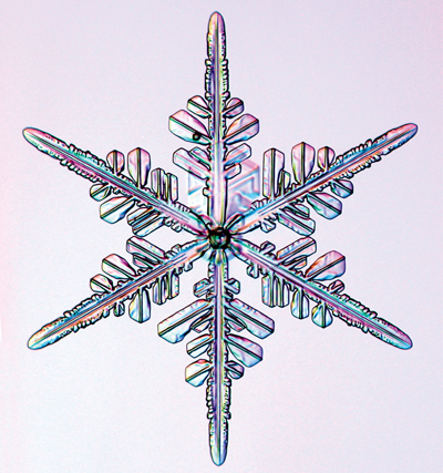 THE Art OF THE SNOW FLAKE A Photographic Album - photo 7