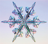 The Art of the Snowflake A Photographic Album - image 8