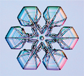 The Art of the Snowflake A Photographic Album - image 9