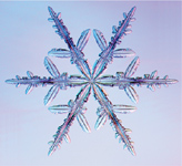 The Art of the Snowflake A Photographic Album - image 10