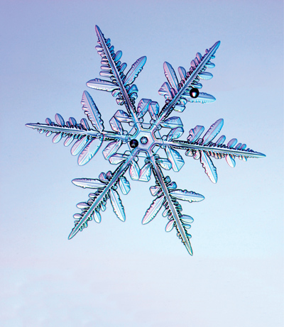 Under the microscope I found that snowflakes were miracles of beauty and it - photo 19