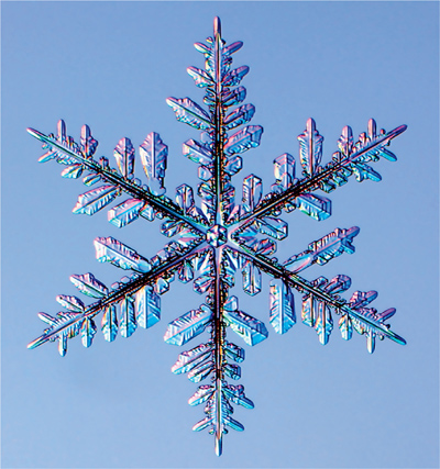 The Art of the Snowflake A Photographic Album - photo 20