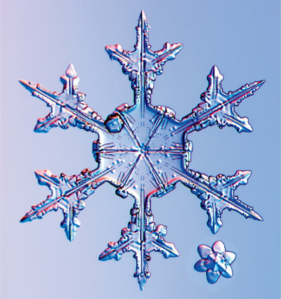 Winters Secret Beauty Snowflakes are remarkable examples of natures art - photo 23