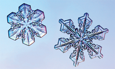 Snowflakes are remarkable examples of natures art They are born within the - photo 25