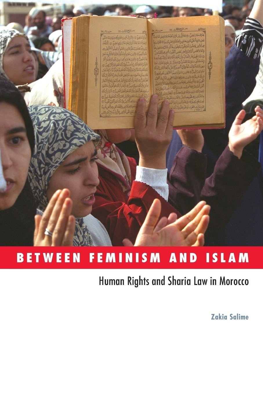 Title Pages pi Between Feminism and Islam Human Rights and Sharia Law in - photo 1