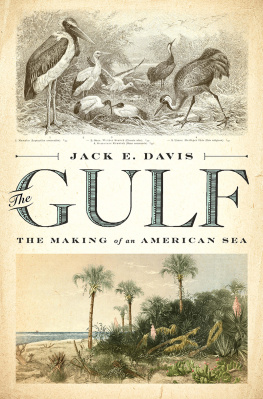 Jack E. Davis - The Gulf: The Making of An American Sea