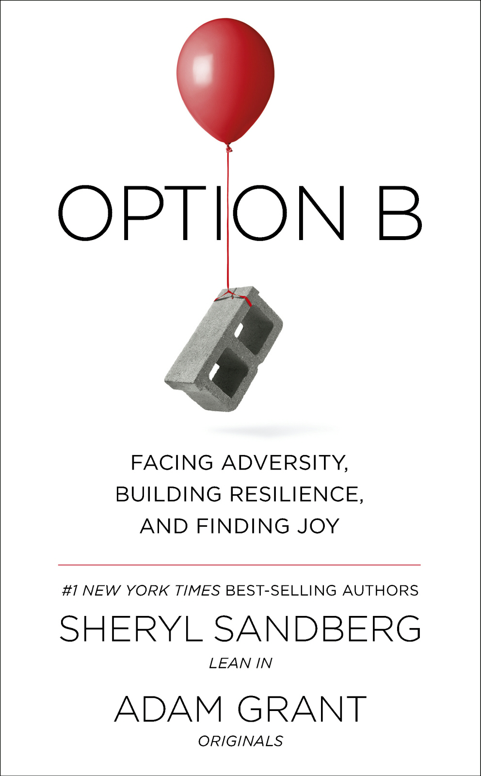 Contents Option B Facing Adversity - photo 1