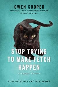 Gven Kuper Stop Trying To Make Fetch Happen