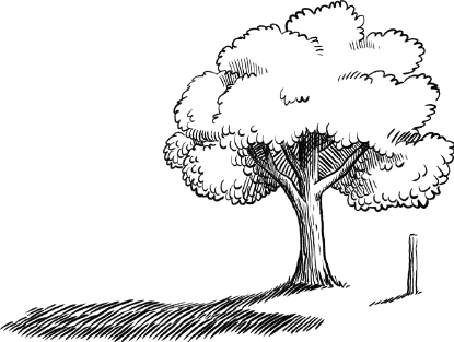 Figure 1 When a surveyor cannot measure a certain distance directly say the - photo 2