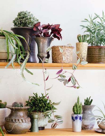 DIY DIY Hanging planter DIY Growing succulents DIY Terrarium - photo 7