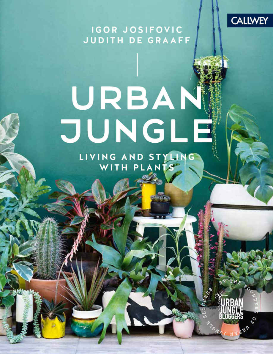 URBAN JUNGLE LIVING AND STYLING WITH PLANTS IGOR JOSIFOVIC JUDITH DE - photo 1