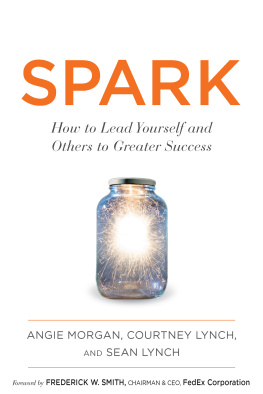 Angie Morgan - Spark: How to Lead Yourself and Others to Greater Success