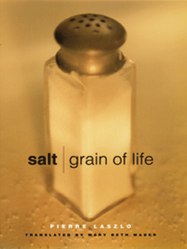 Pierre Laszlo - Salt: Grain of Life