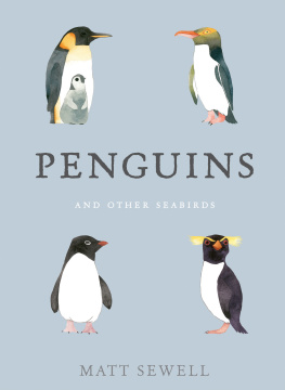 Matt Sewell - Penguins and Other Seabirds