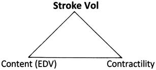 The ejected blood volume with each heartbeat stroke volume SV is determined - photo 1