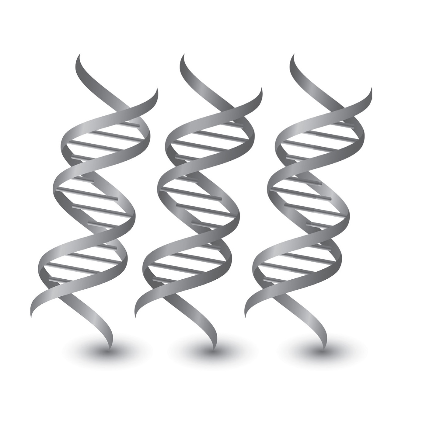 CONTENTS I n its simplest terms genetics is the study of inheritance - photo 2