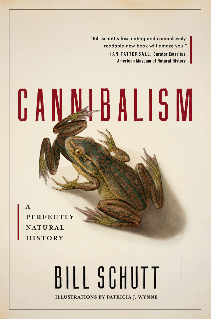 Cannibalism A Perfectly Natural History BILL SCHUTT ALGONQUIN BOOKS OF - photo 1