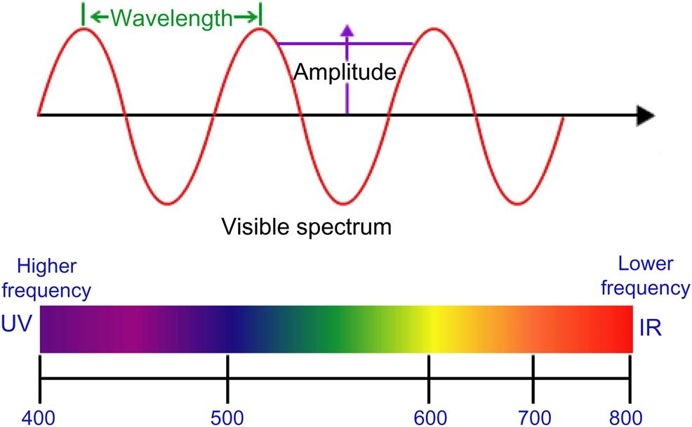 Figure 11 Table 11 Color Wavelength nm Bandwidth nm Frequency THz - photo 4