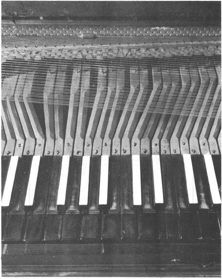 Ill 2 FRETTED GERMAN CLAVICHORD 18th century close-up of action Courtesy - photo 2