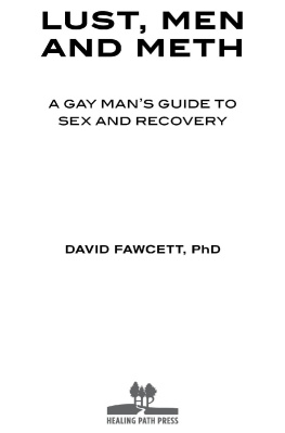 David M Fawcett - Lust, Men, and Meth: A Gay Man’s Guide to Sex and Recovery