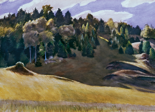 Pl 8 Edward Hopper Vermont Hillside 1936 Watercolor on paper 20 27 in - photo 11