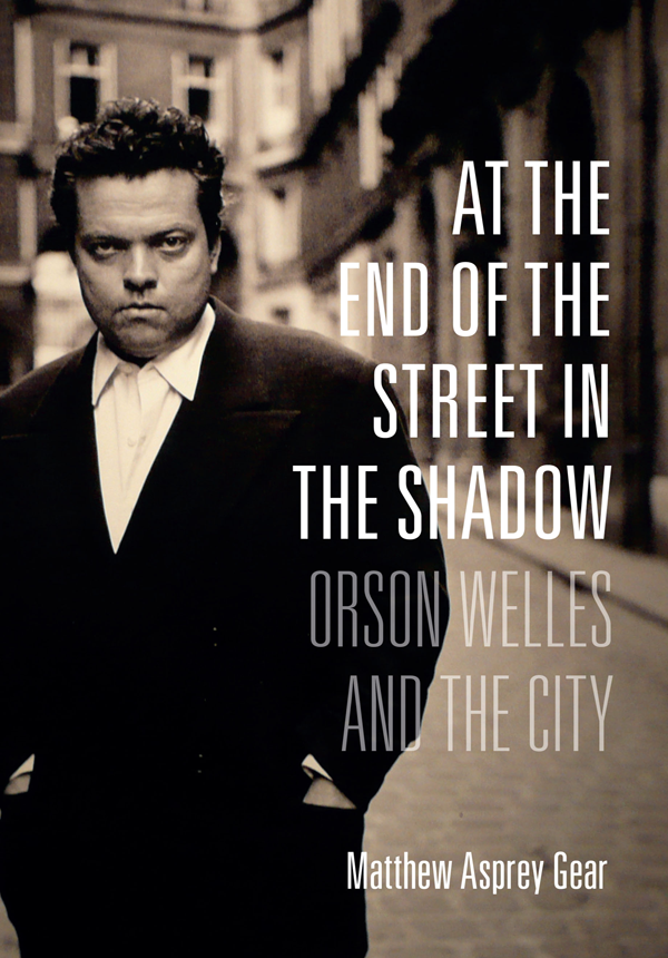 AT THE END OF THE STREET IN THE SHADOW AT THE END OF THE STREET IN THE SHADOW - photo 1