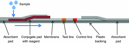 Fig 11 Typical structure of a LFIA strip The LFIA may be of two different - photo 1