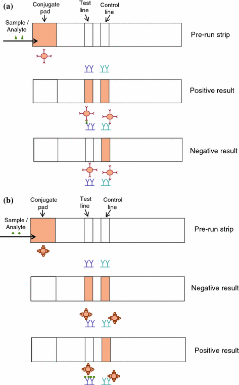 Fig 12 a Direct solid-phase immunoassay b Competitive solid-phase - photo 2