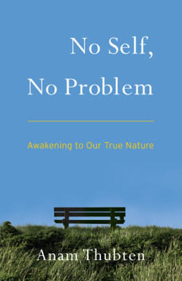 Anam Thubten - No Self, No Problem: Awakening to Our True Nature