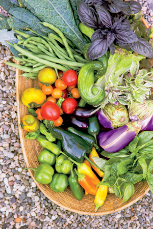 A rainbow harvest Valerie bottom photo seeks out special varieties to - photo 6