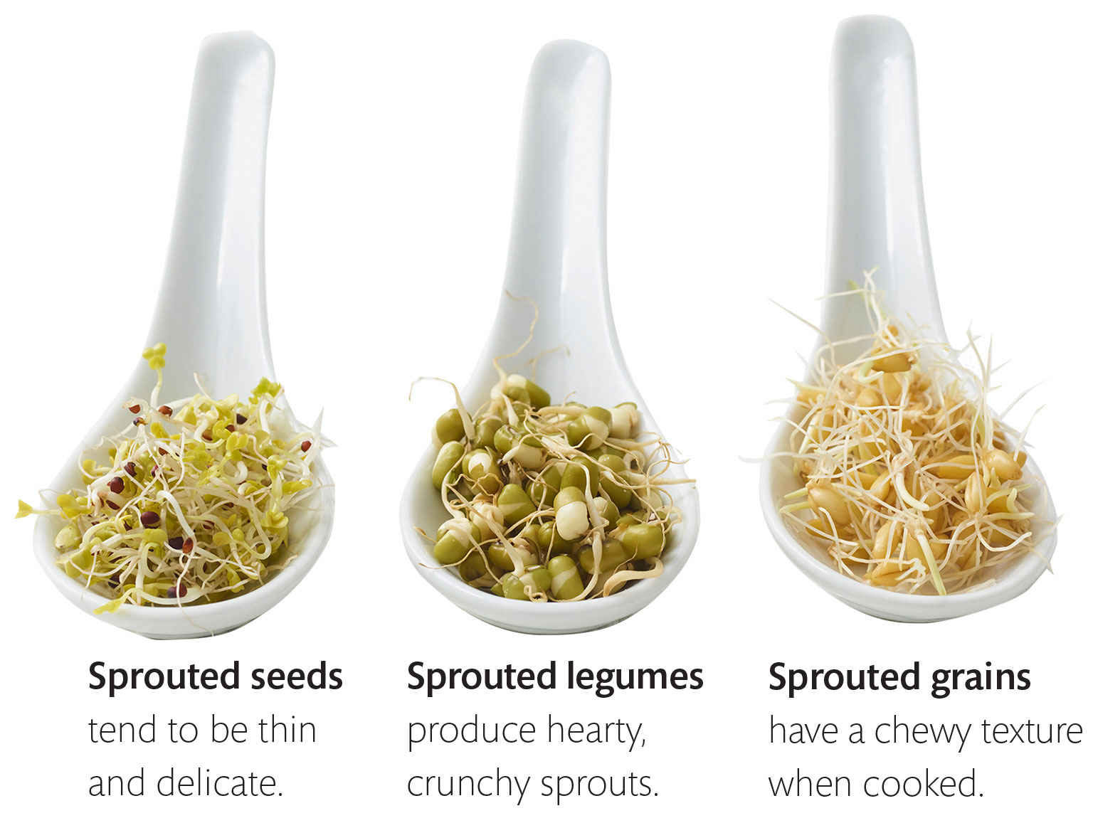 Soaking vs sprouting Soaking is the first step in the sprouting process but - photo 5