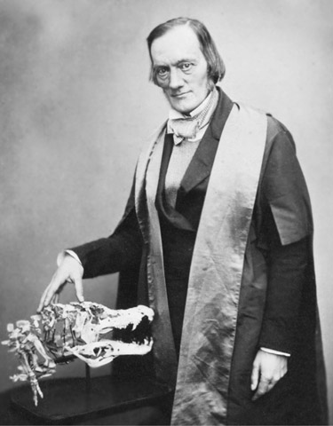 25 Sir Richard Owen photographed by Maull Polyblank c 1855 26 Thomas - photo 26
