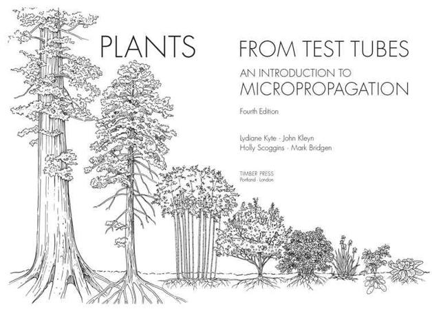 Frontispiece plants left to right coastal redwood pine bamboo apple - photo 2