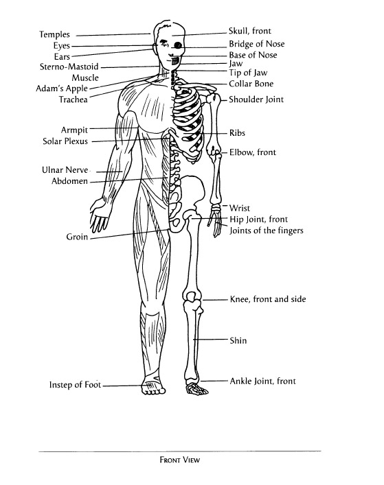 Appendix E Meridian Pathways - photo 8