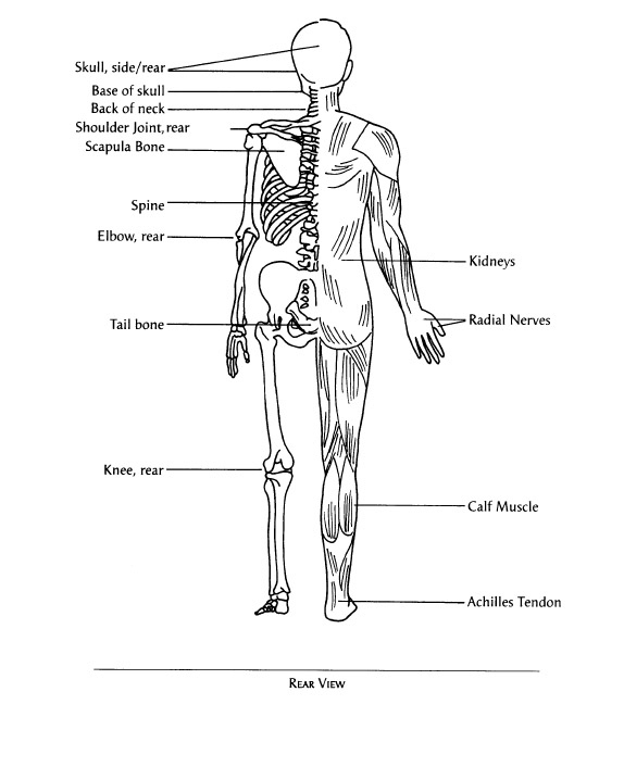 Appendix E Meridian Pathways - photo 9