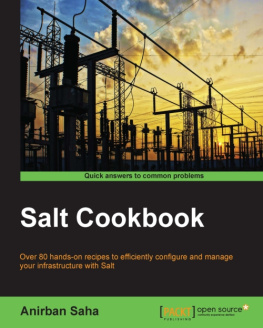 Saha A. - Salt Cookbook